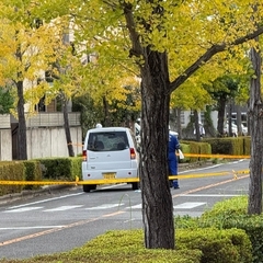 【現地の画像】神園大…