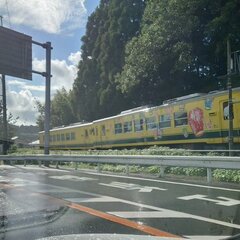 【速報】いすみ鉄道で…