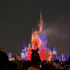 【炎上】ディズニー …