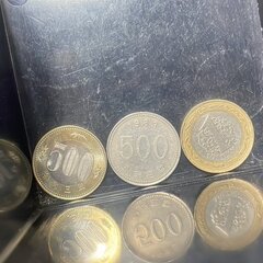 【画像】500円玉専…