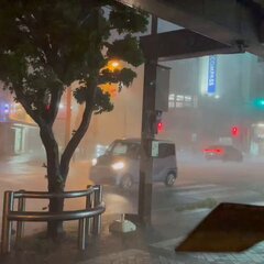 【大雨】沼津 大雨に…