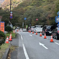 紅葉シーズン 栃木 …