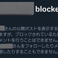 【画像】ブロック貫通…