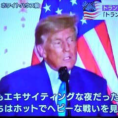 米大統領選 日本でも…