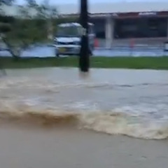 【大雨】沖縄本島北部…