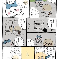 【ちいかわ】ハチワレ…