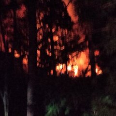 【火事】岩手県宮古市…