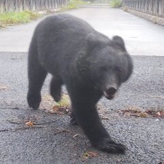 【抗議】秋田のスーパ…