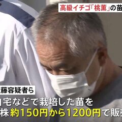 【逮捕】近藤信宏容疑…