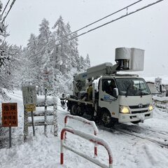 【大糸線】倒木の影響…