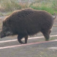 【注意喚起】福岡県北…