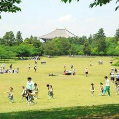 【物議】奈良公園でK…