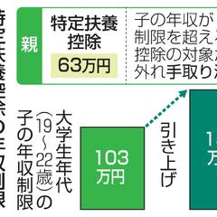 特定扶養控除 子の年…