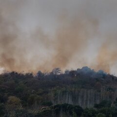 【火事】高見山で山火…