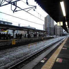 【雪降ってる】東京都…