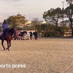 有馬記念 ドウデュー…