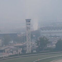 京都競馬場付近で一面…