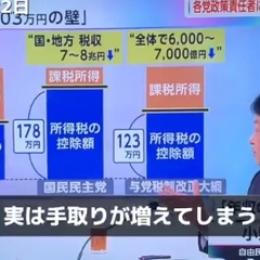 【動画】自民政調会長…