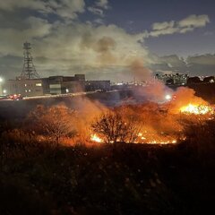 【火事】中環沿い 鳥…