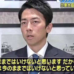 進次郎構文「何とかし…