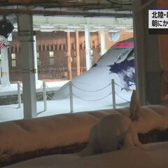 【大雪】山形新幹線 …