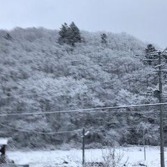 【大雪】秋田県や山形…