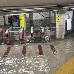 外国人「日本は最もきれいな国です。洪水のときに水が澄んでいるのがどれだけすごいことかわかりますか？」東京メトロ 市ヶ谷駅の浸水にて