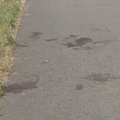 【犯人逃走中】大阪府寝屋川市太間町の河川敷で殺人未遂事件！20歳前後の男性が刃物で刺される