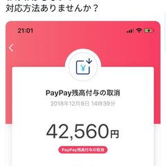【PayPay残高付…