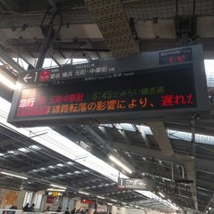 【遅延】東急大井町線…