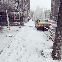 【現地情報】東京に雪…