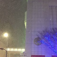 名古屋民、ちょっと雪…
