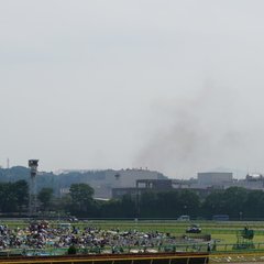 【火事】東京競馬場付…