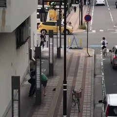 新潟市で警察をふりき…