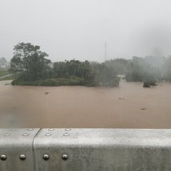 【画像】越辺川が台風…