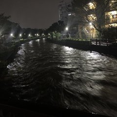 【画像】黒目川は台風…