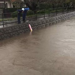 高崎川が氾濫危険水位…