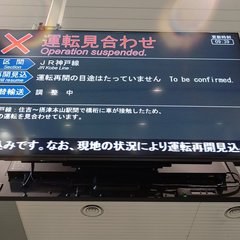 JR神戸線 橋桁にト…