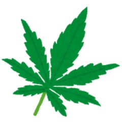 【逮捕】大麻を栽培し…