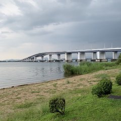 「琵琶湖大橋」がトレ…