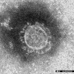 消されたコロナ論文・…