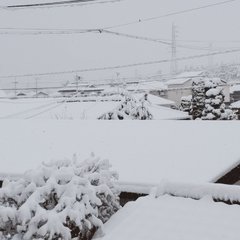 【東京雪】3月も終わ…