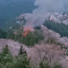 【火事】吉野山で火災…