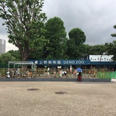 【大混雑】上野動物園…