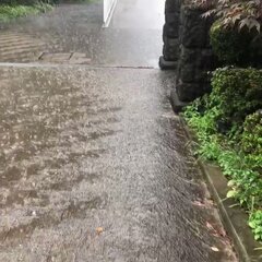【大雨】東京都大田区…