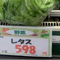 【野菜が高い】レタス…