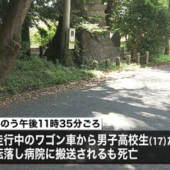 【ワゴン車らしい】高…