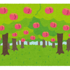 【悲報】桃畑で桃の木…
