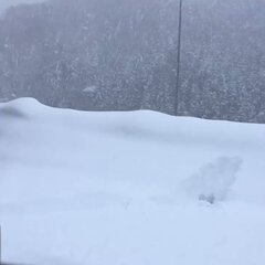 【大雪】関越自動車道…