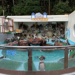 桂浜水族館、客に「入…